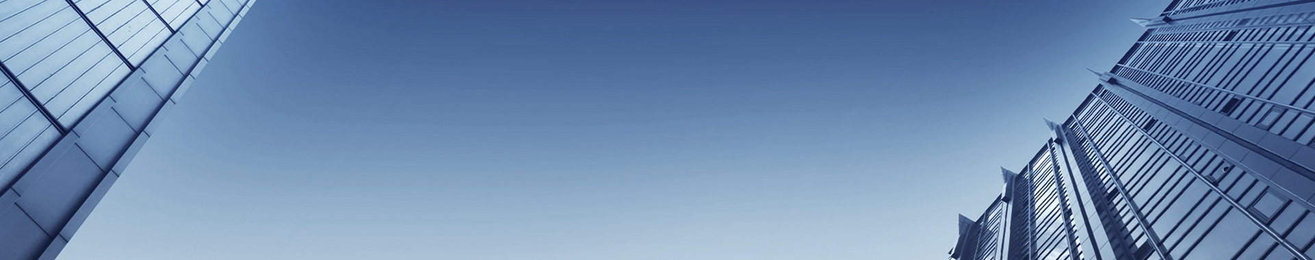 nybanner